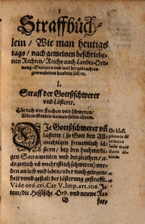 Straffbüchlein : Darin Begriffen wirdt, wie man heutiges tags ... etzliche grobe eusserliche sünde, freuel ... peinlich zustraffen pflegt ...