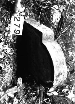 Grabstein 279 (Index: 99897668) Zustand: stark verwittert, liegend Maße HxBxT: 81x55x10 cm: Grabstein 279