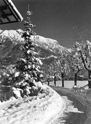 Verschneiter Garten in Oberstdorf