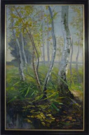 unbenannt [Birkenwald]