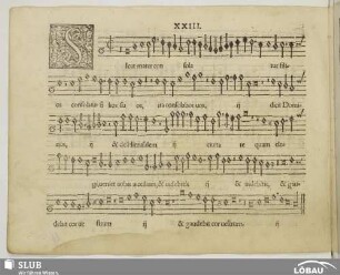 XXIII. Sicut mater consolatur filios