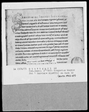 Gregorius Magnus