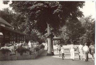 Aufgang zum Hermannsdenkmal. Detmold. Hiddesen. Papierabzug