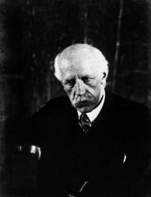 Fridtjof Nansen : Portrait von Fridtjof Nansen (1861-1930), Gründer der Internationalen Studiengesellschaft zur Erforschung der Arktis. Ausschnitt aus einem gemeinsamen Portrait mit Walther Bruns