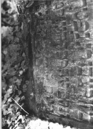 Grabstein 197 (Index: 99800026) Material: Sandstein Zustand: verwittert Maße HxBxT: 89x57x12 cm Beschreibung: Stele, Rundbogenabschluß, Schriftfeld eingetieft Symbolik: Rosette: Grabstein 197 (Detailaufnahme 3)