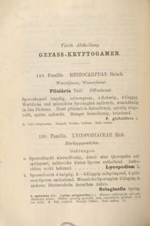 Vierte Abtheilung. Gefäss-Kryptogamen.