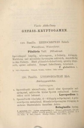 Vierte Abtheilung. Gefäss-Kryptogamen.