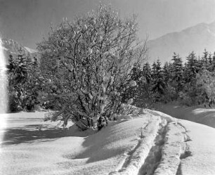 Allgäer Alpen, Winter in Oberstdorf