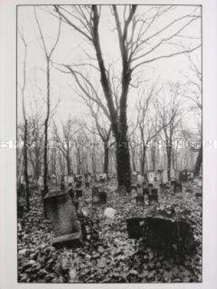 Serie "Jüdischer Friedhof, Berlin, Schönhauser Allee"