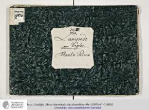Lampedo