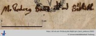 Autogramm (Aus: UB Freiburg, N 1478)