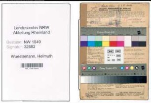Entnazifizierung Helmuth Wuestemann , geb. 02.02.1902 (Ingenieur)