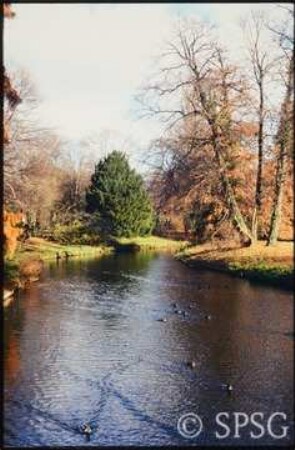 Potsdam, Park Sanssouci, Bullenwiese.