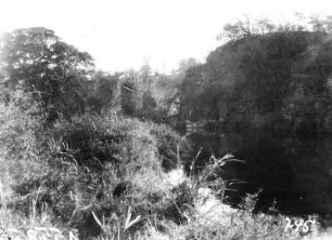 Landschaft am Fluss Letaba : Flusslandschaft mit Vegetation