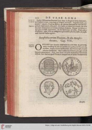 Cap. VII
