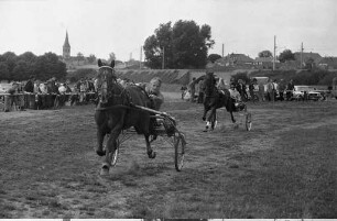 Pferderennen beim Zucht- und Rennverein Karlsruhe-Knielingen e.V.