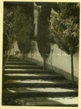 Ansicht aus Capri: Treppe