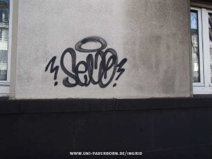 !SeNO!