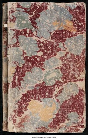 Bibliotheca Thumbshirniana