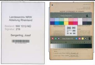 Entnazifizierung Josef Sengerling , geb. 14.09.1897 (Buchhalter)