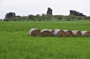 Harzvorland - Teufelsmauer : Im nördlichen Harzvorland ist die "Teufelsmauer" bei Weddersleben ein besonders sehenswertes Naturdenkmal. Aufgenommen am 12. Mai 2010