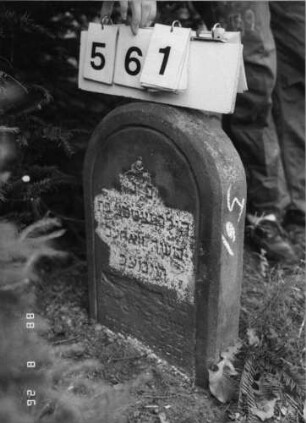 Grabstein 561 (Index: 100095100) Maße HxBxT: 51x35x20 cm Besonderheit: Kindergrab: Grabstein 561