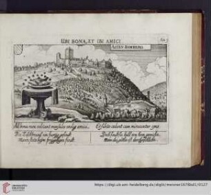 A49. Alten Bamberg, "Ubi bona, et ibi amici"