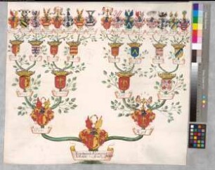 Proband: Wrede, Ferdinand Alexander von; Vater: Wrede, [Caspar] von; Mutter: Korff, [Catharina] von: Deutscher Orden