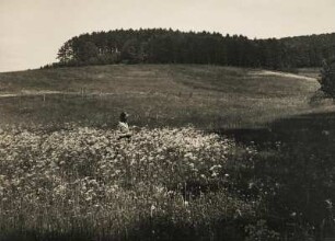 Deutschland. Bei Heppenheim am Rand des Odenwaldes. Eine Frau befindet sich im Frühling in mitten einer blühenden Bergwiese und pflückt Blumen