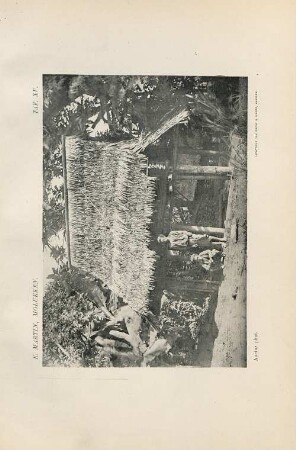 Taf. XV.