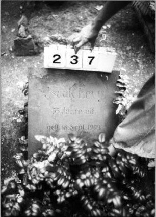 Grabstein 237