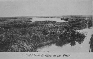 Flusslandschaft : Blick auf den Fluss Pibor, der durch Gewächste verstopft ist