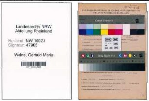 Entnazifizierung Gertrud Maria Weins, geb. 04.11.1903 (Sekretaerin)