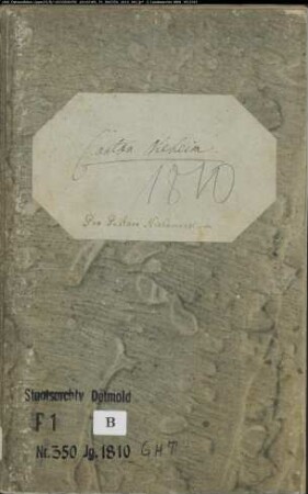 Zivilstandsregister der katholischen Gemeinde Nieheim, Kreis Höxter (GAHT 1810) (Gemeinde: Katholische Gemeinde Nieheim)