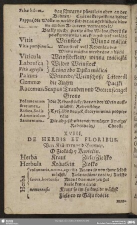 XVIII. De Herbis Et Floribus