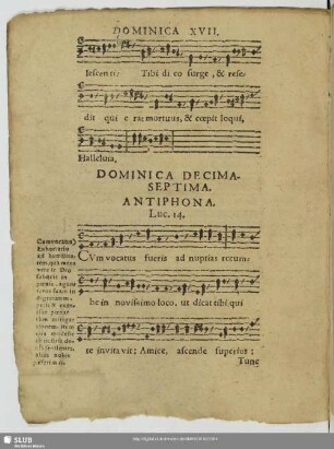 Dominica decimaseptima post trinitatis