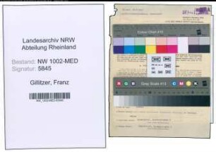 Entnazifizierung Franz Gillitzer , geb. 02.02.1907 (Arzt)