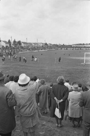 Pudelrennen des Pudelclubs Karlsruhe auf dem KFV-Sportplatz an der Hertzstraße.