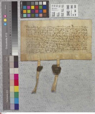 Gernsheim: Litterae Gerlaci Burggravii in Gernsheim quibus omnia sua bona ibidem Mathiae Archiepisc. resignat.