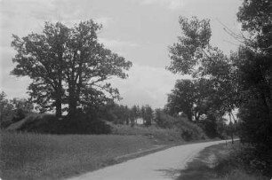 Burgwall in Burg. : Hrodźišćo w Bórkowach.