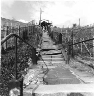 Radebeul. Spitzhaustreppe (Sandstein, Granit; Länge 220 m. 1747/1750; M. D. Pöppelmann, 1845/1847 Wiederaufbau; K. M. Haenel, 1992 saniert). Oberer Abschnitt. Blick treppauf zum Muschelpavillon (1751)