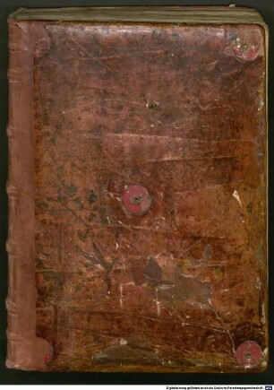 Predigten des Schwarzwälder Predigers - BSB Cgm 9