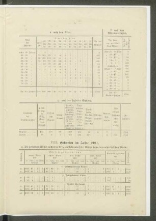 VIII. Geburten im Jahre 1901.
