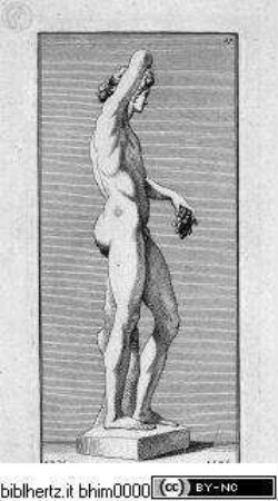 Philippo L. Baroni de Stosch antiquitatis amatori... Nürnberg 1732, Bacchus