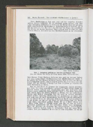 Erhalten gebliebener Teil des Heidmoors 1935