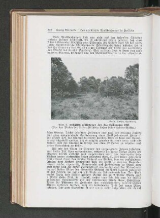 Erhalten gebliebener Teil des Heidmoors 1935