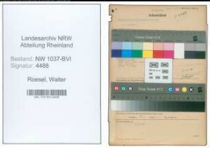 Entnazifizierung Walter Roesel , geb. 08.10.1904 (Angestellter)