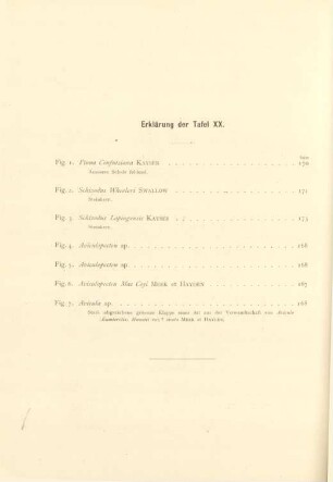 Erklärung der Tafel XX.
