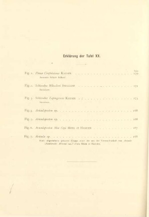 Erklärung der Tafel XX.