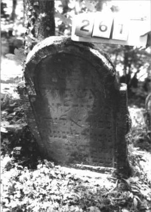 Grabstein 261 (Index: 99799903) Material: Sandstein Zustand: stark verwittert, teilw. Textverlust Maße HxBxT: 96x62x8 cm Beschreibung: Stele, eingezogener Stelzbogenabschluß, Schriftfeld eingetieft: Grabstein 261
